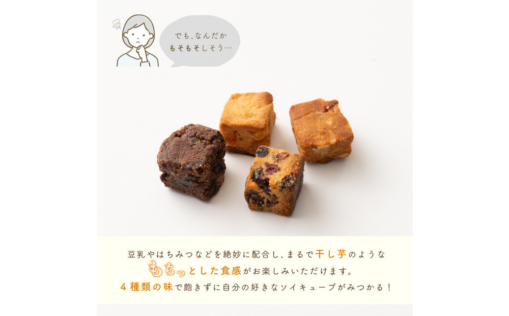 ソイキューブ 4種ミックス 600g(100g×6袋)