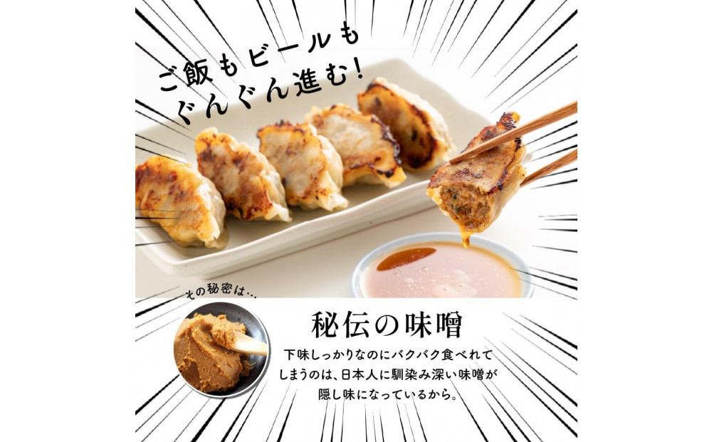 肉汁餃子 300個(30個入×10袋)