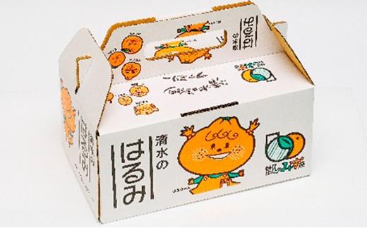 【2026年2月上旬より順次発送】静岡県清水生まれの美味しい柑橘「はるみ約2.5kg」【配送不可：離島】◆