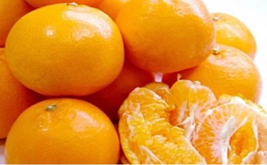 【2026年2月上旬より順次発送】プチ、サク、ジューシー！清水のはるみ 5kg 【配送不可：離島】◆