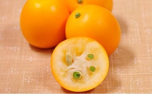 【2026年2月上旬より順次発送】極上に甘い金柑 清水のこん太【配送不可：離島】◆