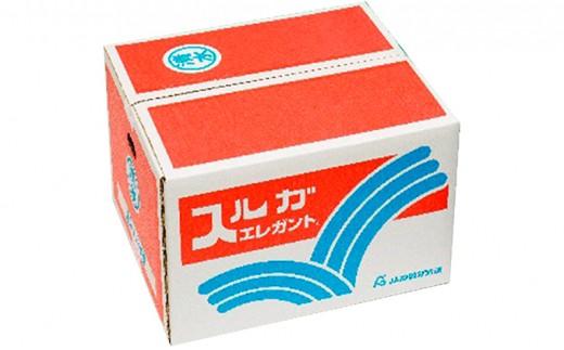 【2026年3月中旬より順次発送】駿河湾の太陽をサンサンと浴びたスルガエレガント！【配送不可：離島】◆