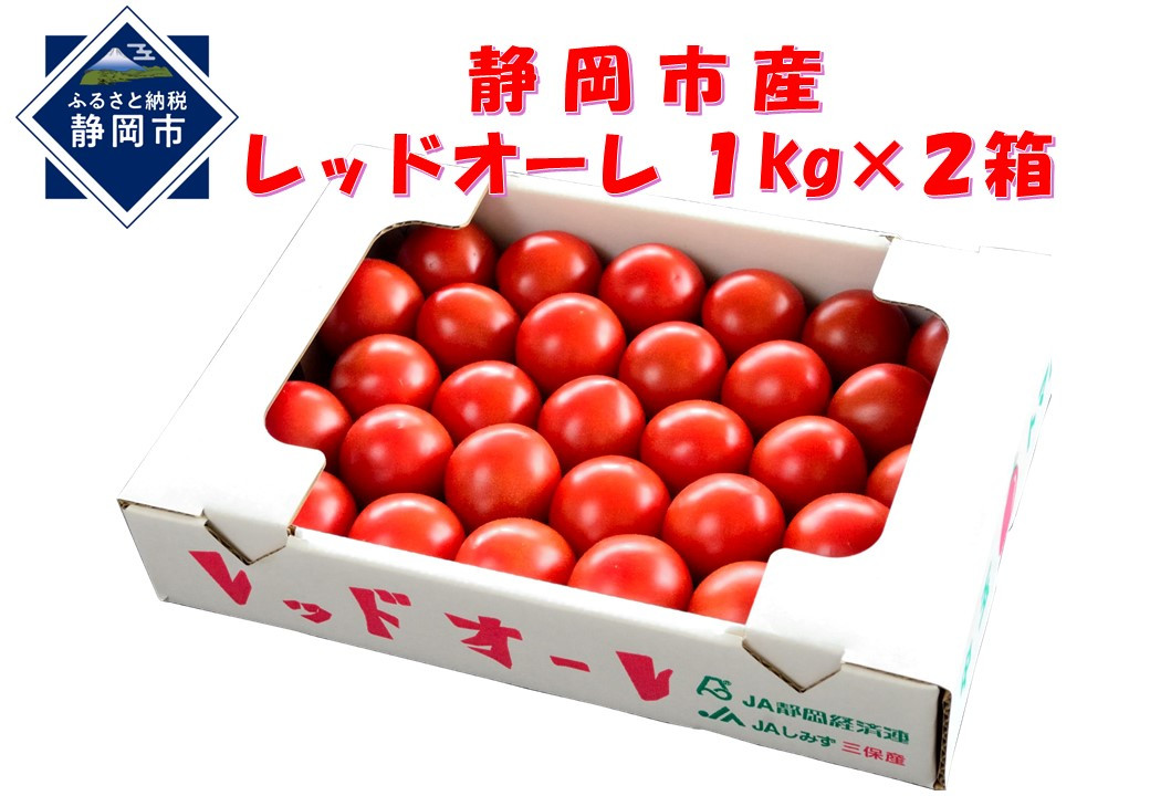 【2025年12月より順次発送】完熟中玉トマト レッドオーレ2箱【配送不可：北海道・沖縄・離島】◆