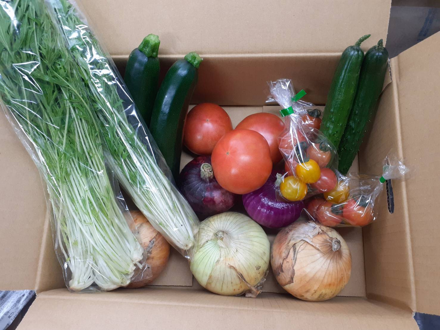 旬のお野菜詰め合わせセット【配送不可：北海道・沖縄・離島（一部除く）・島しょ部】◇