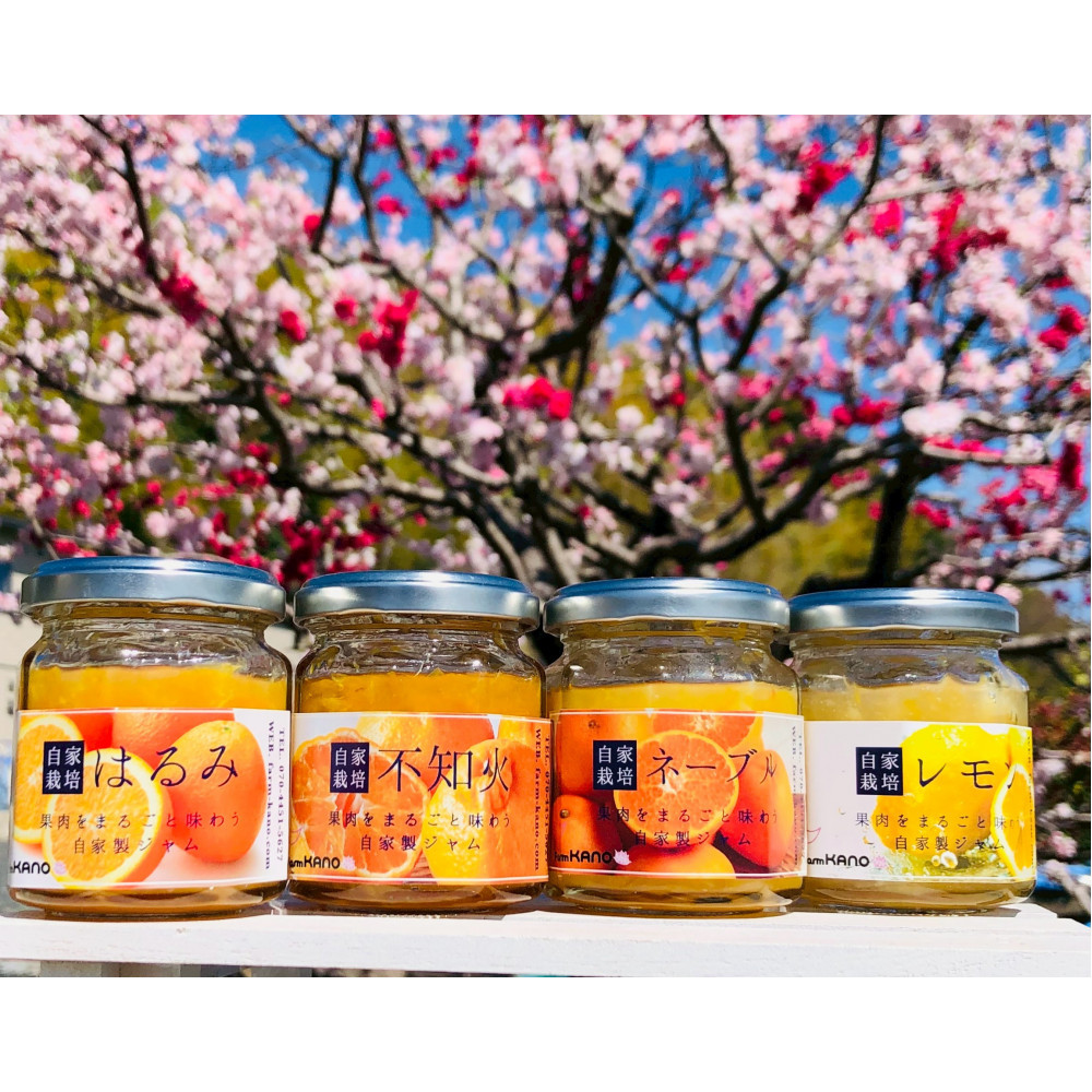 柑橘農家手作り! 無添加柑橘ジャム 4種食べ比べセット フルーツ 柑橘 オレンジ◇