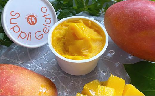 Karadaneeds カラダニーズ　ビューティージェラート【配送不可：離島】■