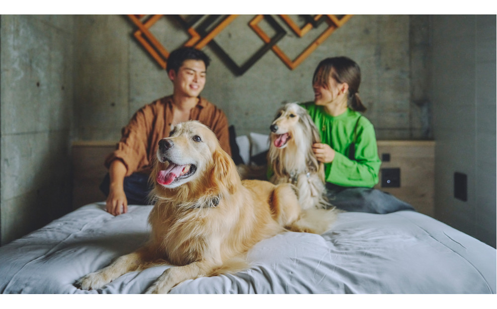 【愛犬と一緒に泊まれるホテル・1HOTEL】ふるさと納税宿泊ギフト券30,000円分