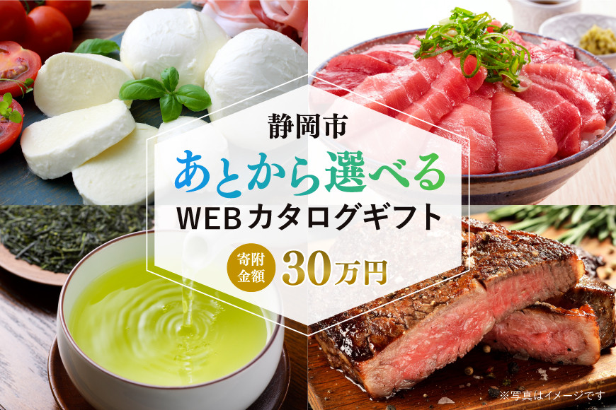 【静岡市】あとから選べるWEBカタログギフト（寄附30万円コース）90000ポイント｜寄附した後にゆっくり返礼品が選べて便利！対象返礼品続々追加中［ 静岡 カタログポイント 有効期限6か月 対象商品続々追加中 人気 おすすめ 旅行 ホテル レストラン お肉 お酒 スイーツ ファッション 美容 インテリア 家具 アクセサリー  スポーツ アウトドア ふるさと納税 ］