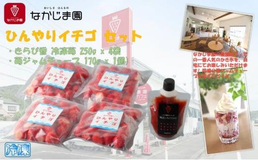 ひんやりイチゴ セット（きらぴ香 冷凍苺 250g×4袋＋苺ジャム チューブ 170g×1個）冷凍 なかじま園 自宅で かき氷 パフェ いちご 苺 国産 フルーツ くだもの◆