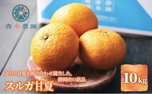 【2026年3月下旬より順次発送】青木農園 スルガ甘夏 10kg【配送不可：離島】◇