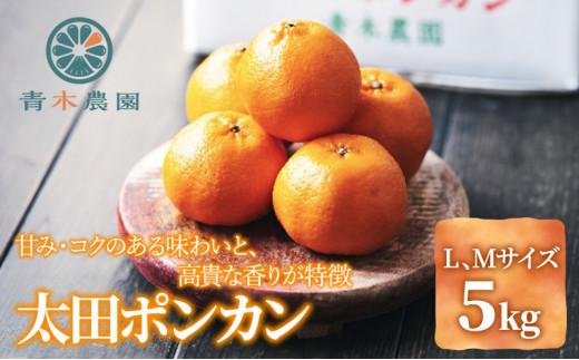 【2026年1月中旬より順次発送】青木農園 太田ポンカン 5kg【配送不可：離島】◇