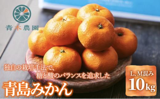 【2026年1月中旬より順次発送】青木農園 青島みかん 10kg【配送不可：離島】◇