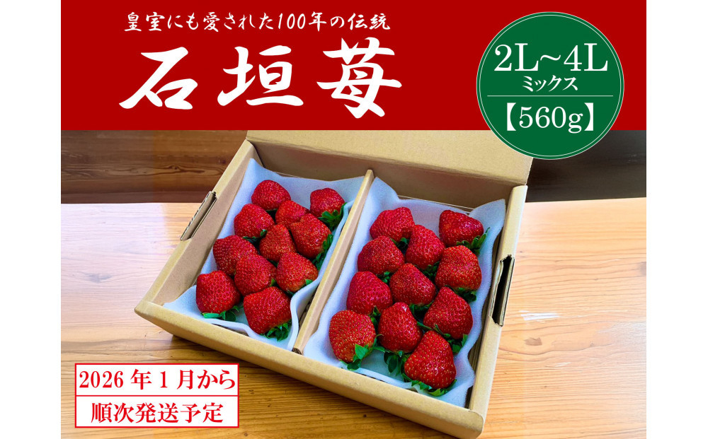 【2026年1月より順次発送】静岡特産・石垣苺　2L～4Lミックス 約280g×2パック★紅ほっぺ