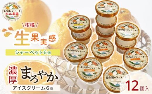 果樹園のジェラート 柑橘食べ比べ12個セット 100ml×12個 冷凍 ギフト アイスクリーム シャーベット□