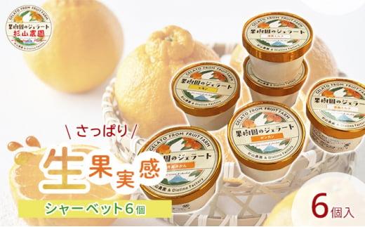 果樹園のジェラート 夏にさっぱりシャーベット6個セット 100ml×6個 冷凍 ギフト アイスクリーム シャーベット□