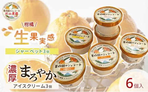 果樹園のジェラート 柑橘食べ比べ6個セット 100ml×6個 冷凍 ギフト アイスクリーム シャーベット□