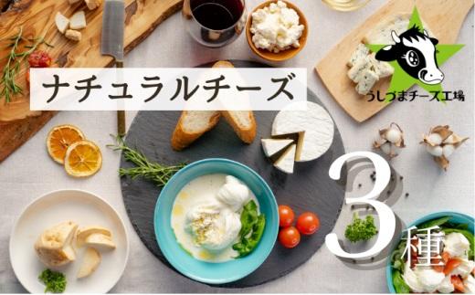 うしづまチーズ工場の、ナチュラルチーズ3種セレクト！ モッツァレラチーズ ブルーチーズ 酸凝固ソフトタイプ 静岡 牛妻■