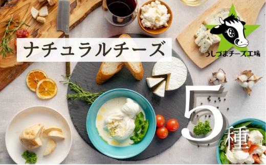 うしづまチーズ工場の、ナチュラルチーズ5種セレクト！ ナチュラルチーズ モッツァレラチーズ ブルーチーズ 酸凝固ソフトタイプ 生カマンベールチーズ カチョカヴァッロ 静岡 牛妻■