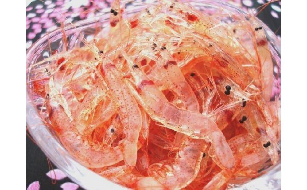＜原藤商店＞由比港産　生桜えび　95g×2◆