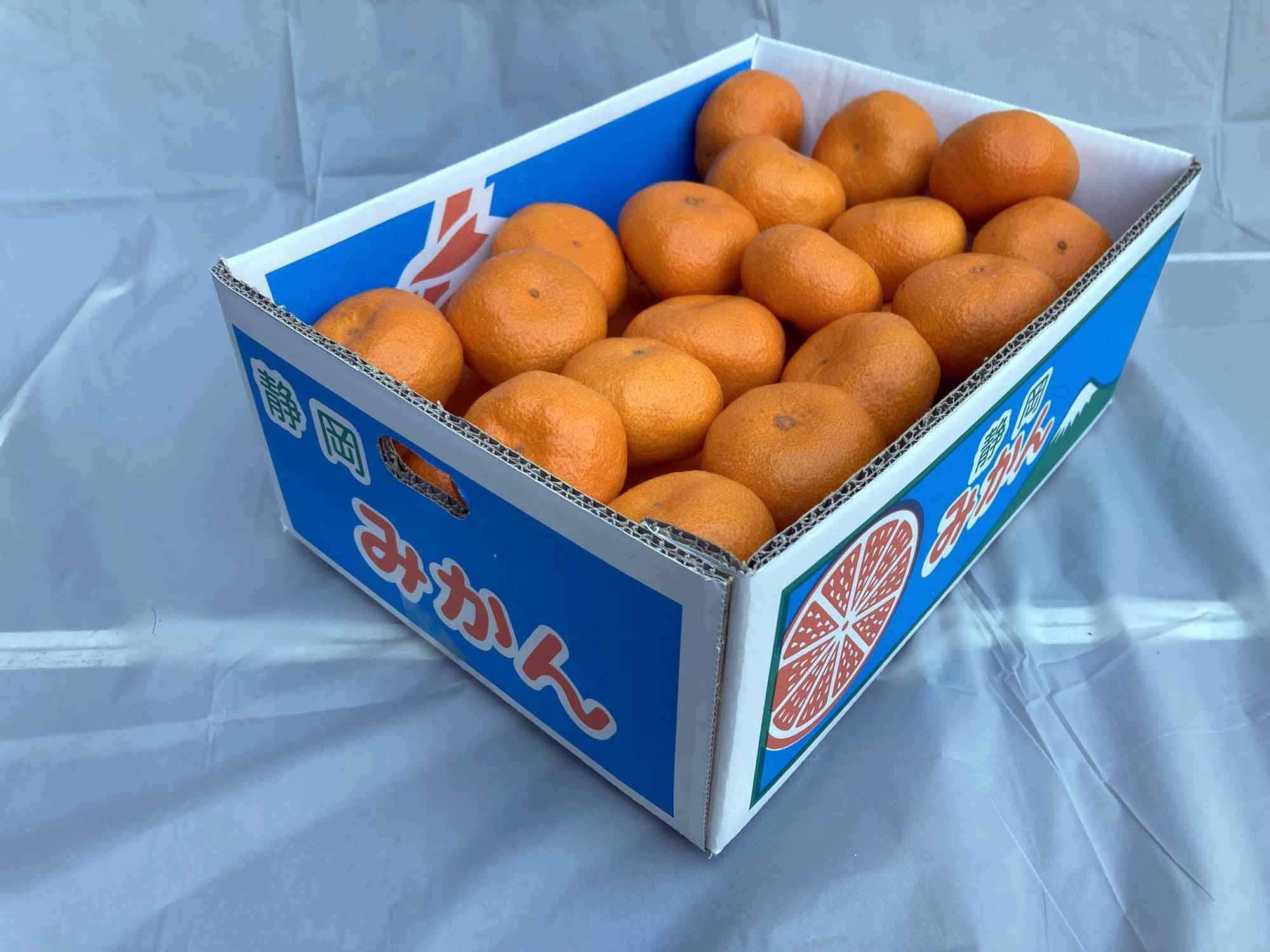 【2025年12月下旬～2月上旬発送】甘い青島みかん5kg　静岡県より産地直送◇