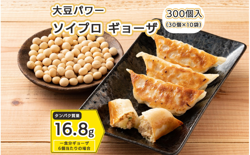 大豆パワー ソイプロギョーザ 300個(30個入×10袋)