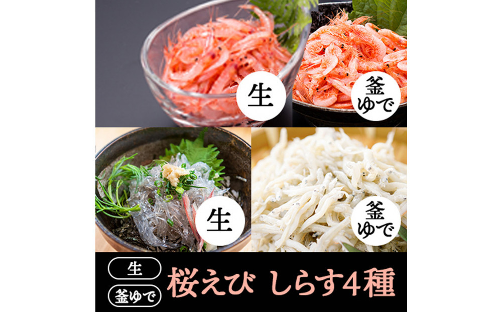 桜えび２種、しらす２種セット【配送不可：離島】