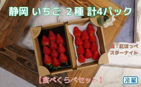 [受付2024年3月10日まで]静岡 いちご 2種 計2パック 2種 食べ比べセット(紅ほっぺ・スターナイト)冷蔵 苺 フルーツ