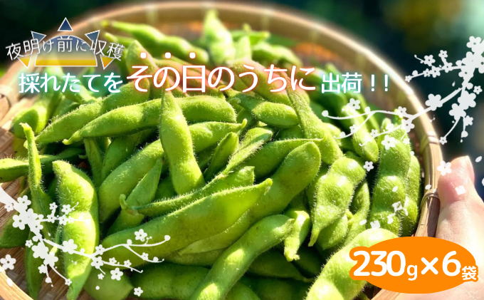 [生鮮]茶豆風味の枝豆「英」〜はなぶさ〜 230g×6袋入り えだまめ 冷蔵 新鮮 採れたて 生野菜 おつまみ