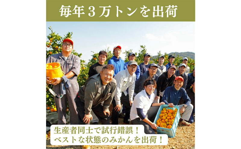 早生三ケ日みかん 優M 8kg （約72個） みかん ミカン フルーツ 果物 くだもの 機能性表示食品 浜松市
