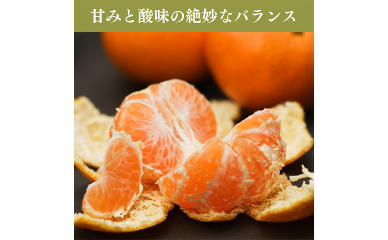 早生三ケ日みかん 良M 8kg  (約72個)　 みかん ミカン フルーツ 果物 くだもの 機能性表示食品 浜松市