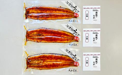 浜名湖うなぎ蒲焼 120g×3尾（計360g） 真空パック 冷蔵 【浜名湖うなぎ・国産うなぎ】
