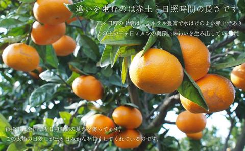 みかん 先行予約 三ヶ日みかん 青島 10kg 陽だまりファーム 三ヶ日 青島みかん 果物 フルーツ 柑橘 柑橘類 旬 冬 旬の果物 旬のフルーツ 産地直送 静岡 静岡県 浜松市 先行 予約 2026 2026年 1月上旬より順次発送
