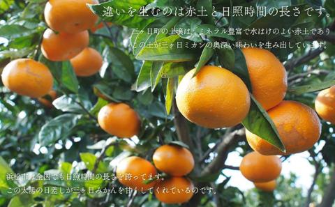 みかん 先行予約 三ヶ日みかん 青島 5kg 陽だまりファーム 三ヶ日 青島みかん 果物 フルーツ 柑橘 柑橘類 旬 冬 旬の果物 旬のフルーツ 産地直送 静岡 静岡県 浜松市 先行 予約 2026 2026年 1月上旬より順次発送