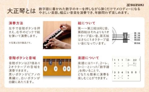 大正琴を弾いてみよう！大正琴とCD付き教則本 入門セット: 浜松市ANAのふるさと納税