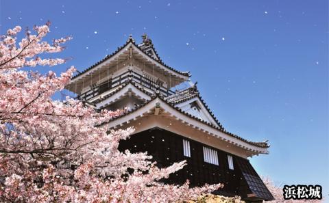 静岡県浜松市 ANAトラベラーズホテル クーポン 15，000点分