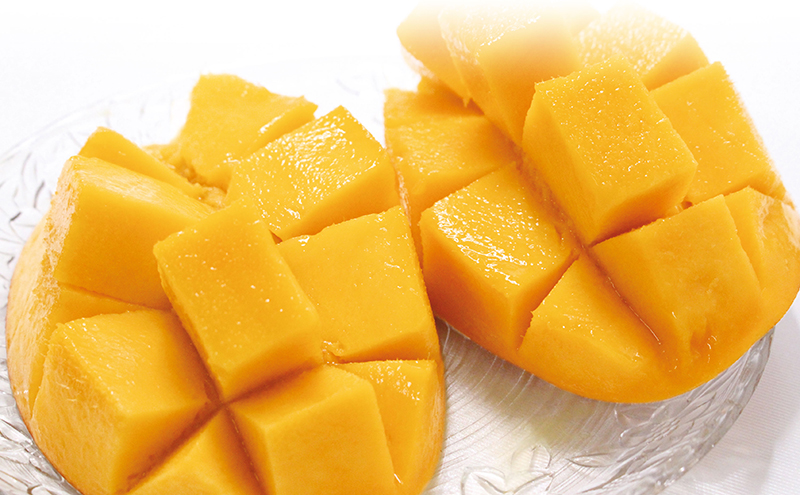 【受付期間:2025年7月10日まで】完熟マンゴー 浜松赤土産 900g以上～1kg未満 期間限定 フルーツ 贅沢 果物 果汁 芳醇 上質 濃厚 ジューシー 食品 デザート おやつ ご褒美 高糖度 国産 産地直送 特産品 浜松市