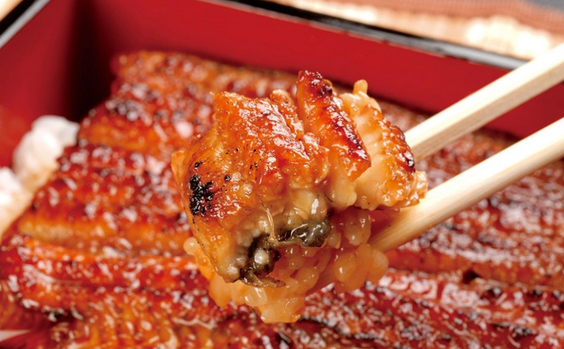 浜名湖鰻蒲焼 約110g 2本×5箱 国産 浜松 鰻 父の日 母の日 土用の丑の日 和食 秘伝のたれ 伝統 炭火ふっくら 柔らか