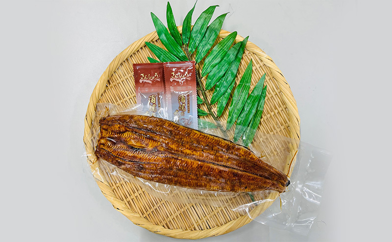 【訳アリ・数量限定】浜名湖鰻蒲焼1本（約250ｇ） ビッグサイズ　うなぎ ウナギ 鰻 蒲焼 蒲焼き 魚貝類 訳あり 土用の丑の日 静岡県 浜松市