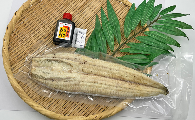 【訳アリ・数量限定】浜名湖鰻白焼1本（約250ｇ） ビッグサイズ うなぎ ウナギ 鰻 白焼 白焼き 魚貝類 訳あり 土用の丑の日 静岡県 浜松市