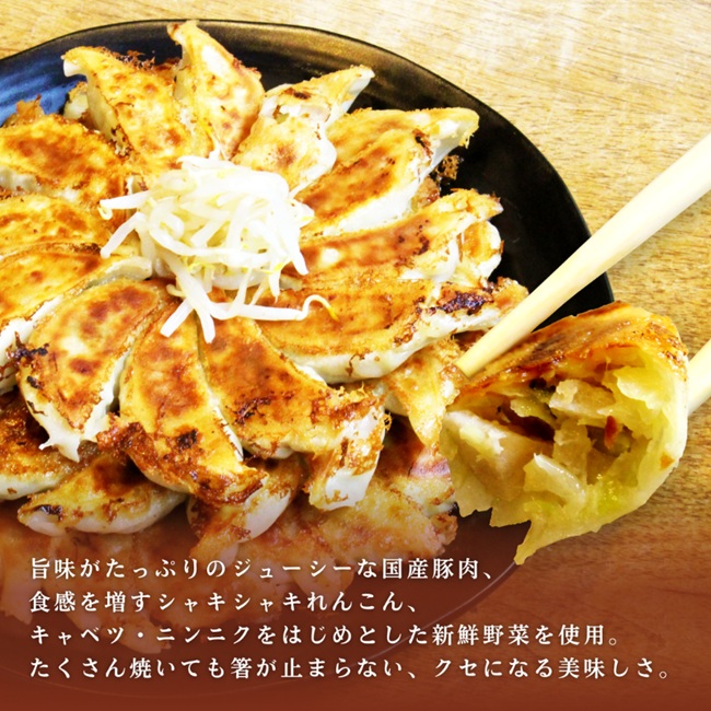 浜松餃子 むつみ餃子 90個 (30個×3パック) セット 詰め合わせ ぎょうざ 餃子 ギョーザ 冷凍餃子 冷凍ぎょうざ 冷凍 冷凍食品 中華 惣菜 食品 おかず 静岡 静岡県 浜松市 【配送不可：離島】