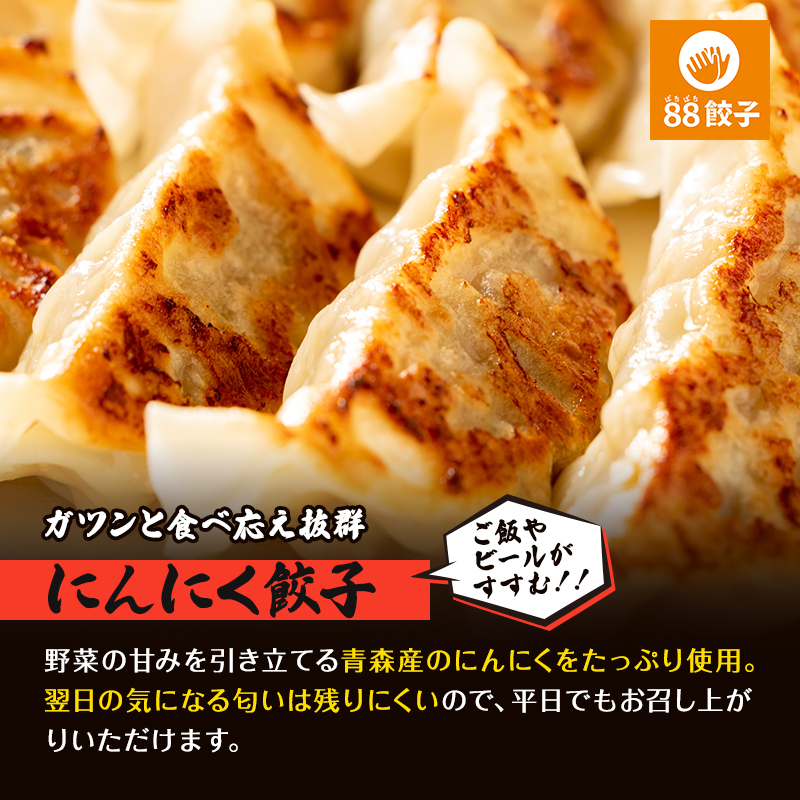 浜松餃子の88ぱちぱち餃子　40個おためしセット