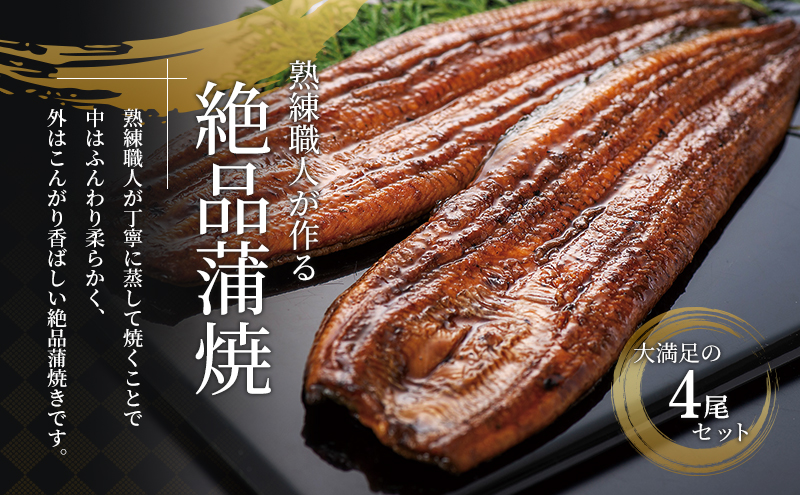 国産うなぎ 浜名湖産 蒲焼き 2箱 (100g×2本入×2箱) 山椒 たれ セット 詰め合わせ 海老仙 国産ウナギ 国産 うなぎ ウナギ 鰻 うなぎの蒲焼 鰻の蒲焼き 小分け おすすめ 贈答用 土用の丑の日 静岡 静岡県 浜松市