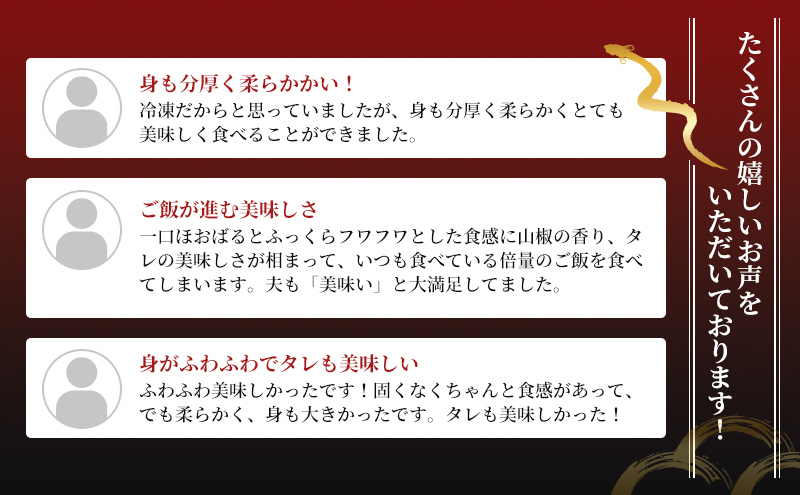 国産うなぎ 浜名湖産 蒲焼き 2尾 (200g以上×2本入) 山椒 たれ セット 詰め合わせ 海老仙 国産ウナギ 国産 うなぎ ウナギ 鰻 うなぎの蒲焼 鰻の蒲焼き 小分け おすすめ 贈答用 土用の丑の日 静岡 静岡県 浜松市