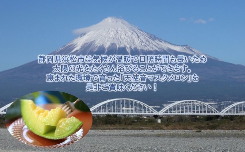 天使音（あまね）マスクメロン　グラン・べべ （1.0kg～1.3kg） 1玉 【配送不可：離島】 フルーツ 果物 メロン 静岡県 浜松市 高級