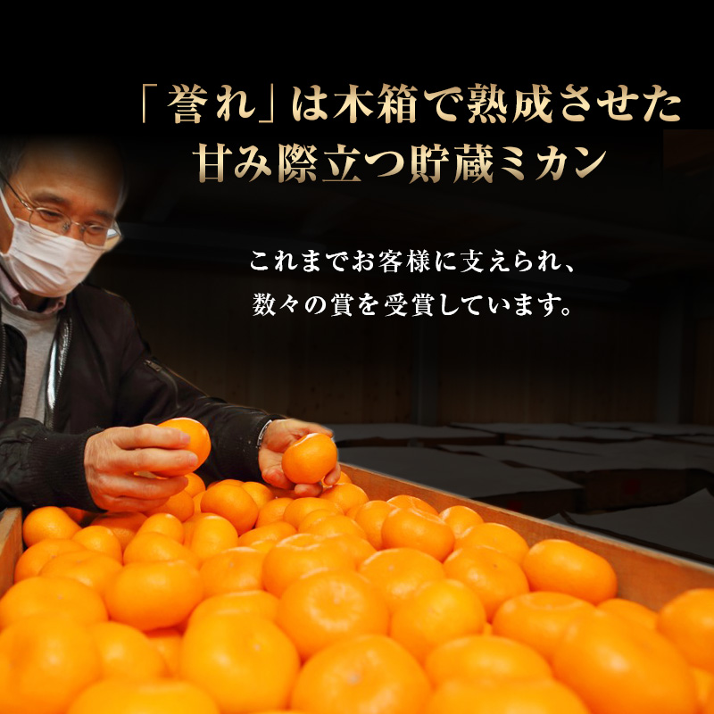 【2026年3月上旬より順次発送】三ケ日みかん「誉れ」 約4kg