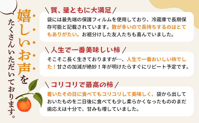 訳あり 長生き次郎柿「長寿郎（ちょうじゅろう）」2L～Mサイズ 5kg 20～28玉入り 12月発送 柿 かき 果物 くだもの フルーツ 次郎柿 静岡 静岡県 訳アリ 浜松市【配送不可：離島】