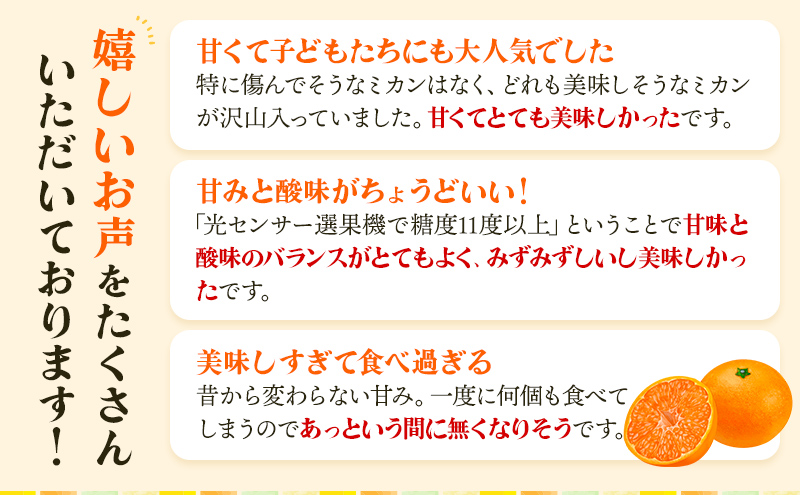 三ヶ日みかん プレミアム 早生 5kg S～Lサイズ混在 11月下旬より順次発送 みかん ミカン 蜜柑 早生みかん 三ヶ日 果物 くだもの フルーツ 旬の果物 旬のフルーツ 柑橘 柑橘類 糖度 静岡 静岡県 浜松市