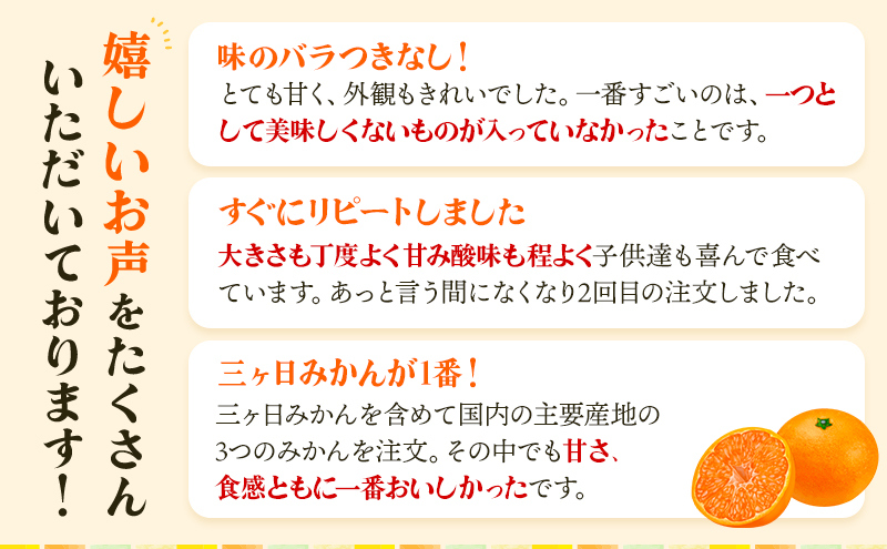 【2025年12月中旬より順次発送】三ヶ日みかん プレミアム（青島5kg）果物 柑橘 フルーツ デザート 食後 おやつ 糖度 箱詰め 濃厚 冬の味覚 静岡県産 産地直送 ビタミン サイズ混在 静岡県 浜松市