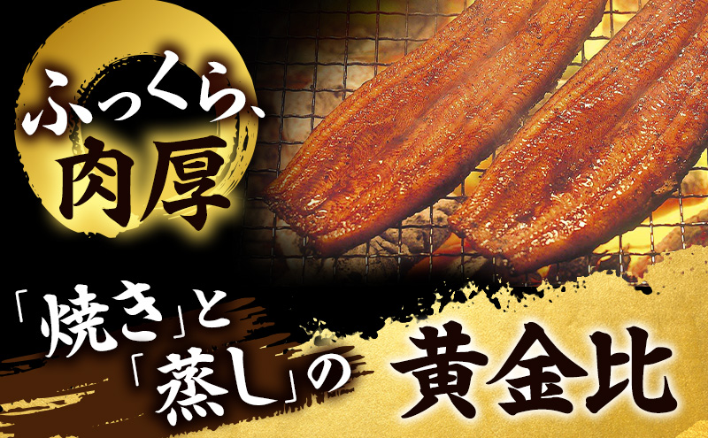 うなぎ 浜松 浜名湖産 鰻 蒲焼 約150g× 2尾 たれ 10ml×2 小分け セット 土用の丑の日 丑の日 国産うなぎ 浜松うなぎ 浜名湖うなぎ 国産 蒲焼き 夏バテ防止 浜名湖 産地直送 冷凍 冷凍配送 静岡 静岡県 浜松市