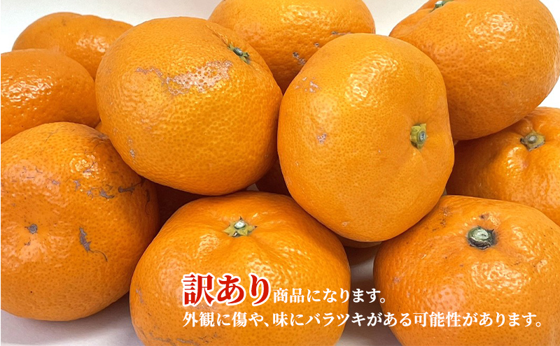 【2026年11月中旬より順次発送】 訳あり 三ヶ日みかん 早生 4kg 早生みかん みかん 蜜柑 ミカン 果物 くだもの 旬のフルーツ 旬の果物 季節のフルーツ 季節の果物 柑橘 柑橘類 訳アリ 静岡 静岡県 浜松市